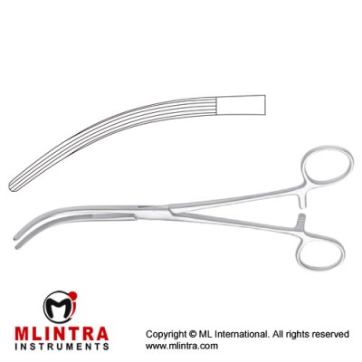 Crafoord-Sellors Haemostatic Forceps Fig. 3 Stainless Steel, 24 cm - 9 1/2" 
